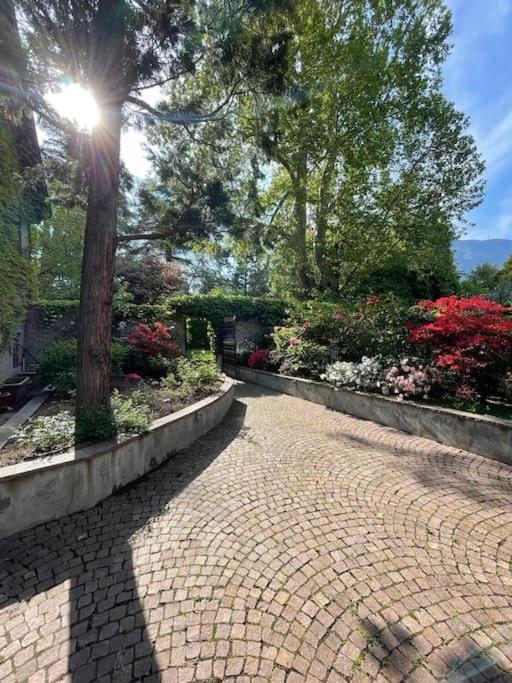 Domus Aurea Apartman Bolzano Kültér fotó